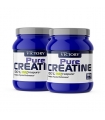 Victory Endurance - PACK DUO Pure Creatine 2 x 500 gr